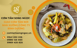 Dịch vụ giao cơm nhà xưởng công ty Bình Dương - Cơm Tấm Song Ngọc